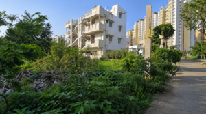 Residential Site for Sale In N Nagenahalli