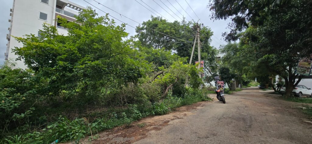 Residential Site for Sale in Kannuru