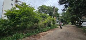 Residential Site for Sale in Kannuru
