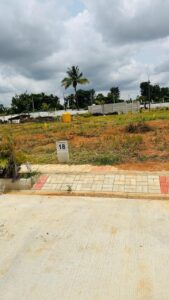 Residential Site for Sale in Rajankunte