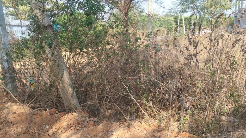 Residential Site for Sale in Jakkur