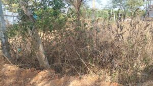 Residential Site for Sale in Jakkur