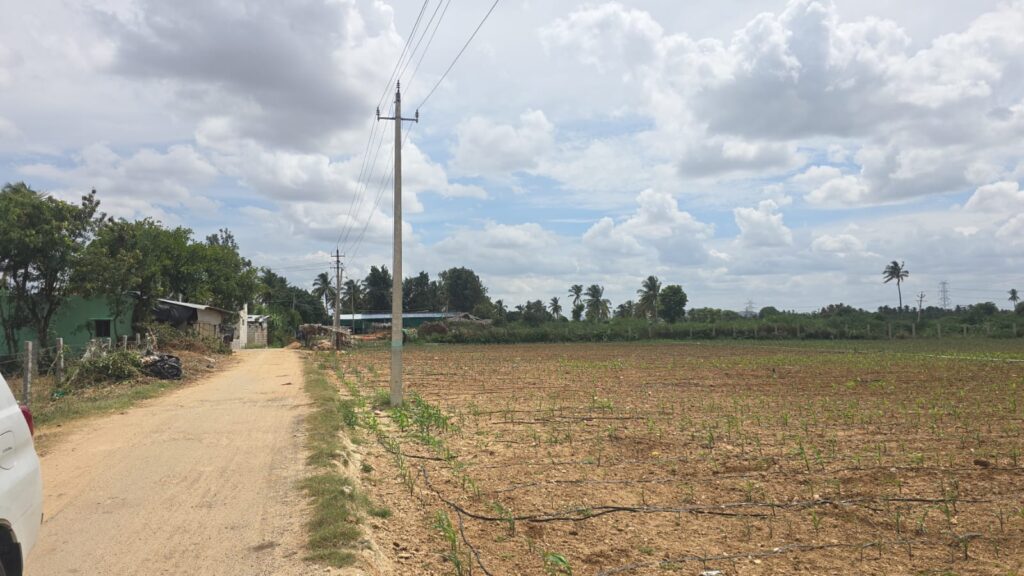 Agricultural Site For Sale in Chikkaballapur