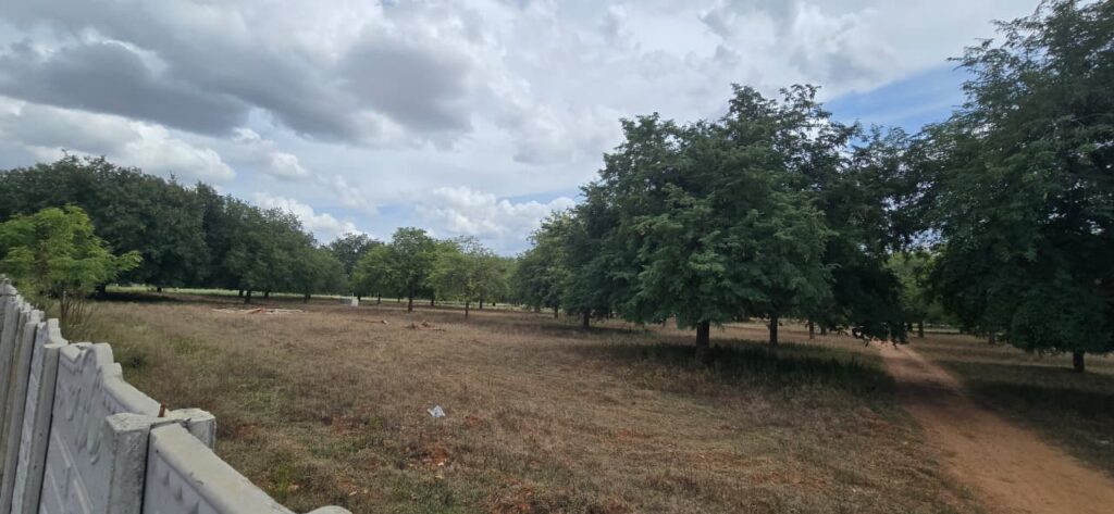 Agricultural Site for Sale in Gauribidanur