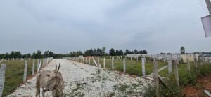Commercial land
